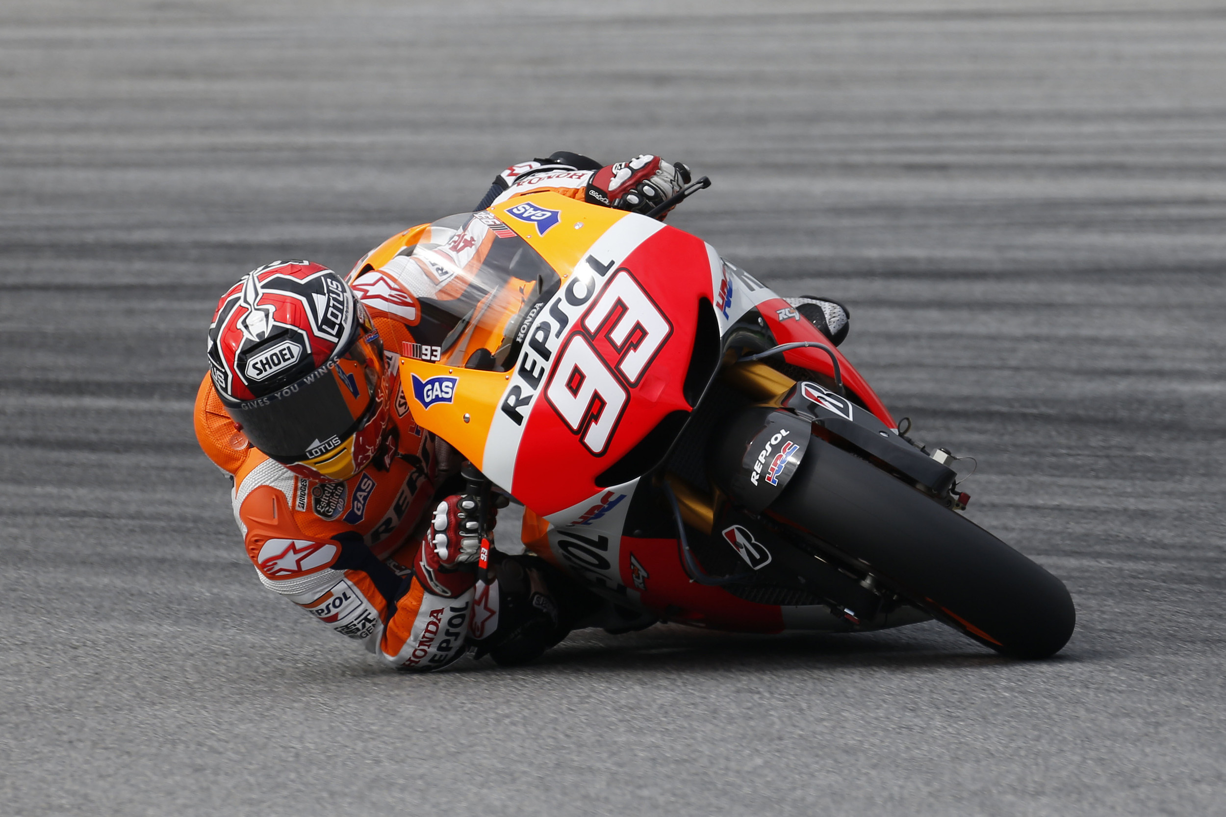 2013 sepang 2 d2 pic 2