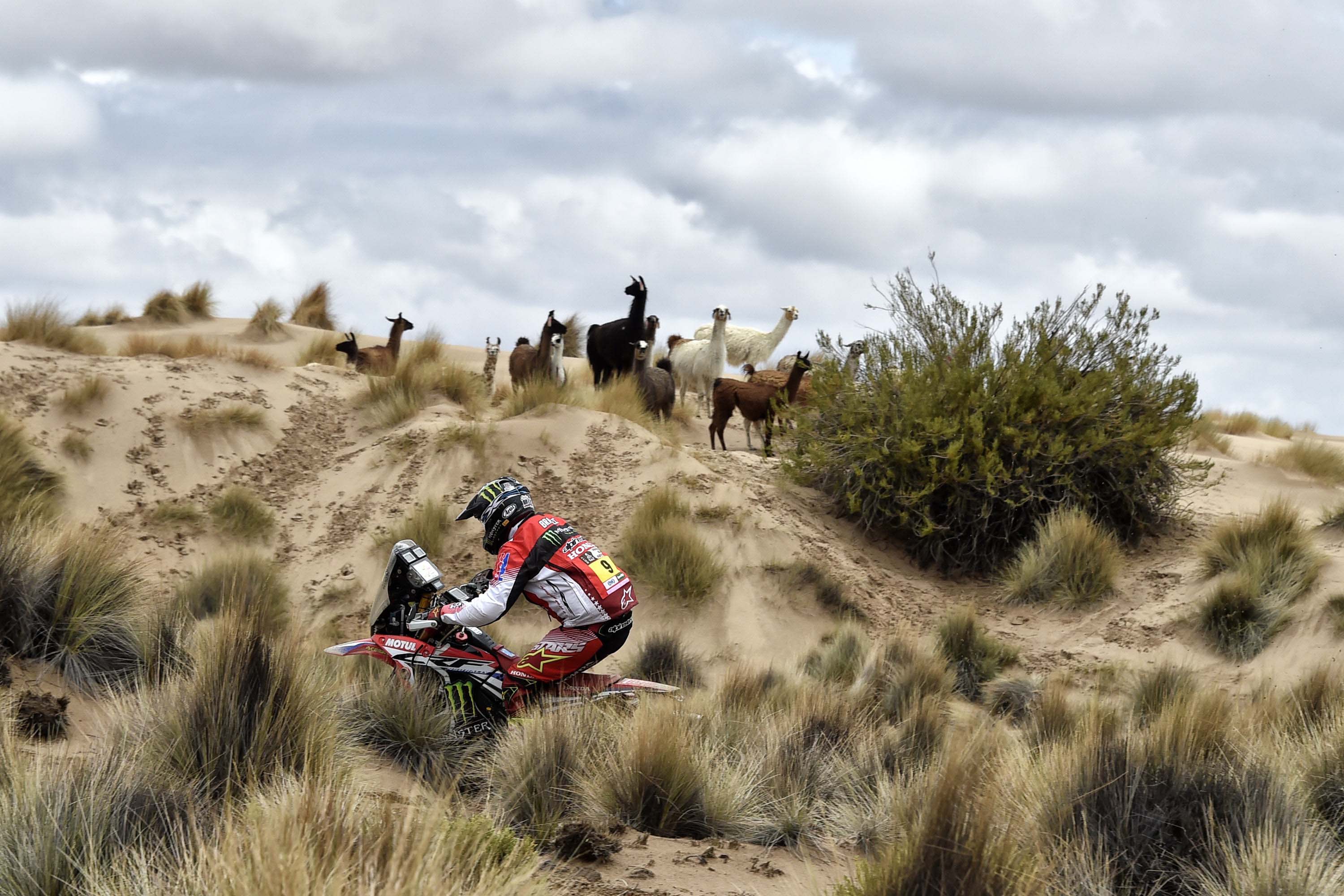 2017 Dakar Rally Stage 7 Honda 10
