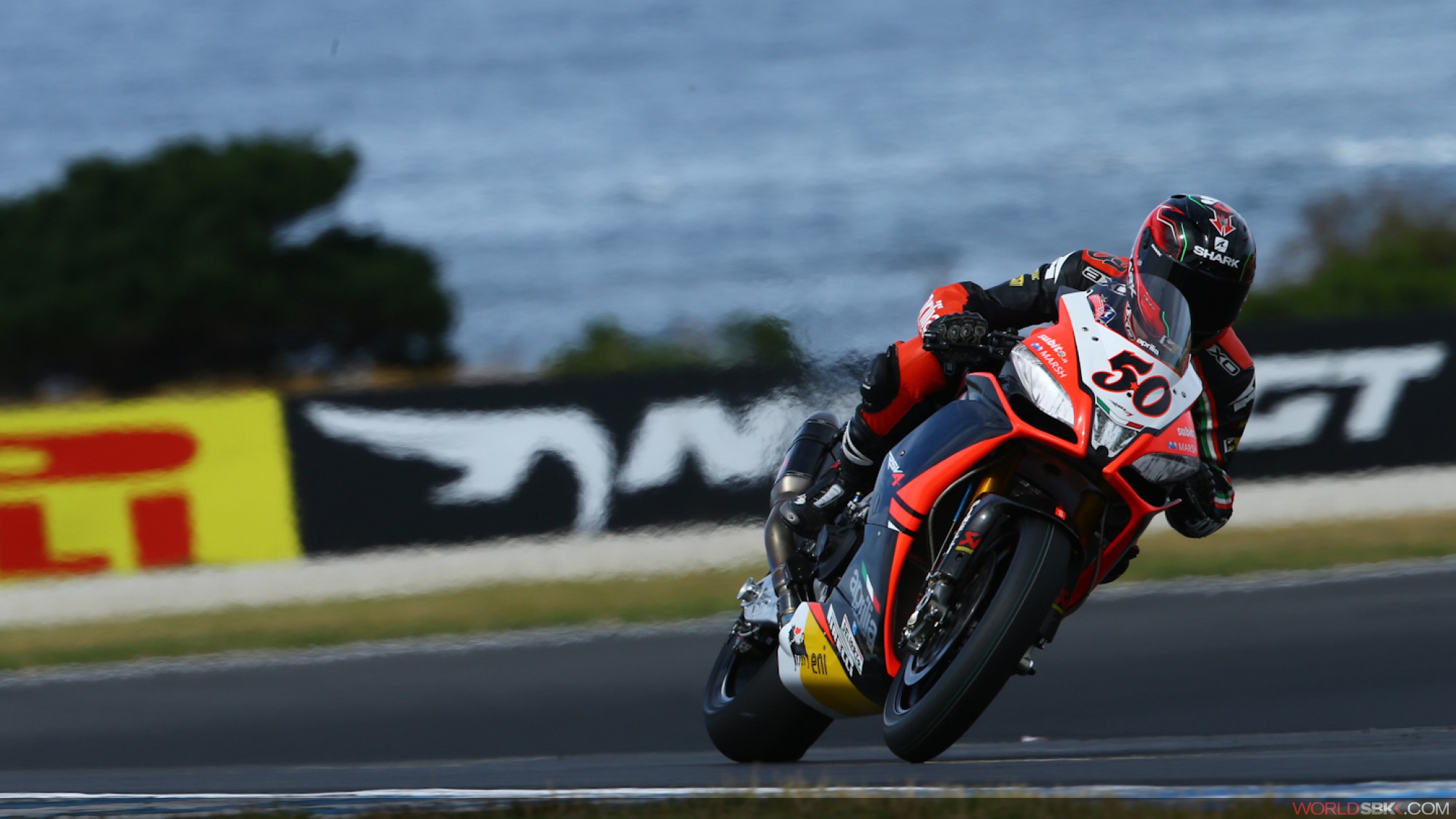 50 guintoliaction dg1 5408 full