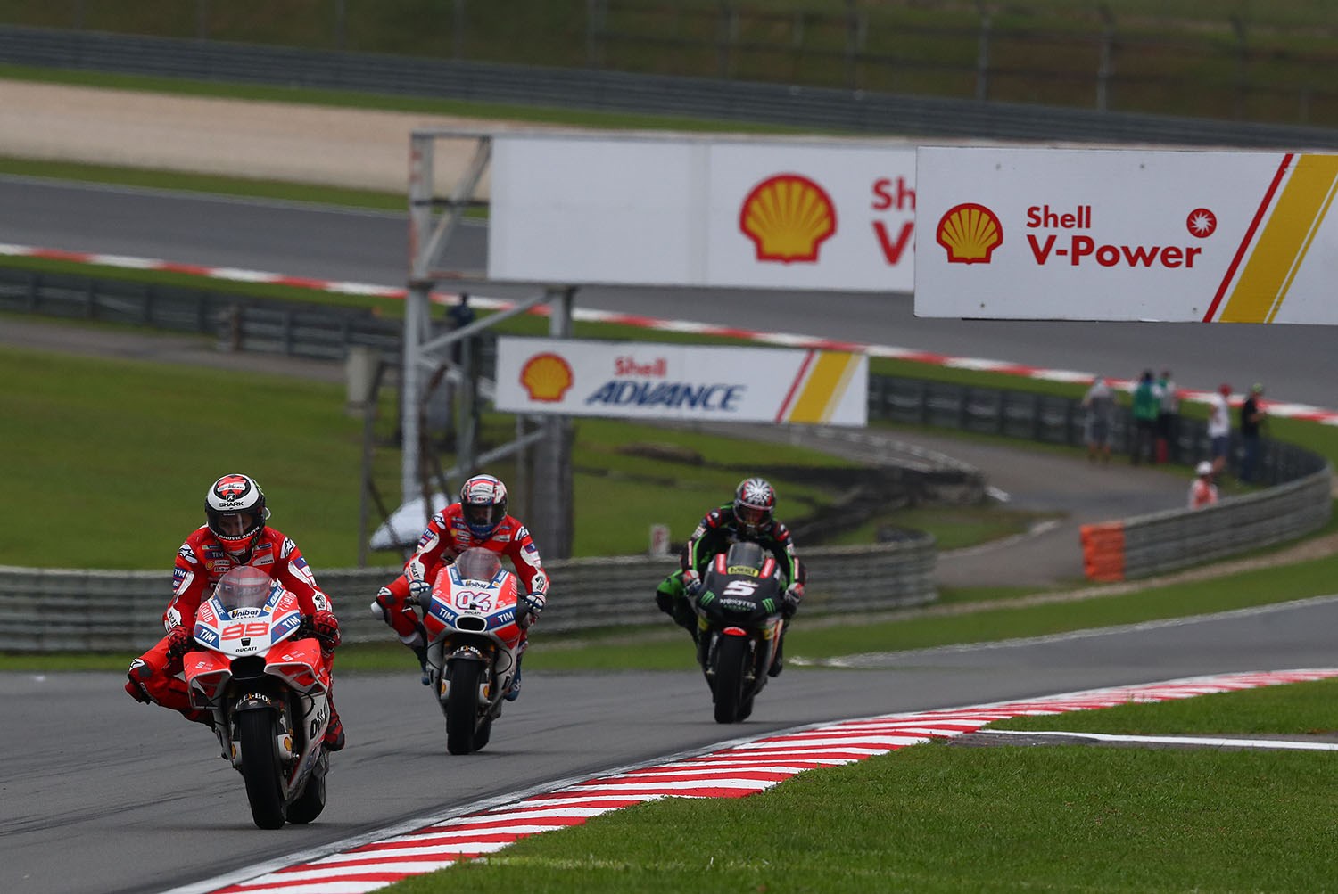 dovi lorenzo