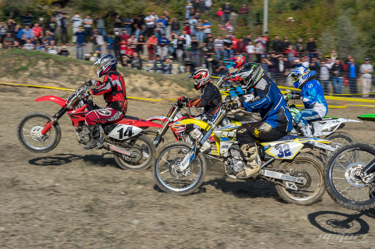 mx orman 2015