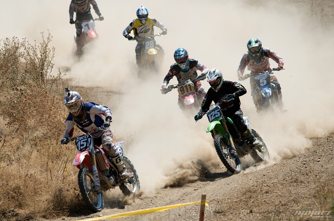 mx zabel 2015 61