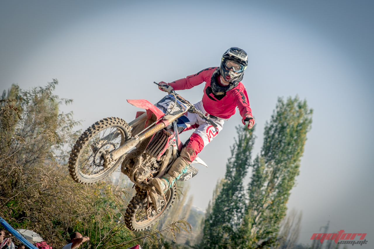 orman 2019 278
