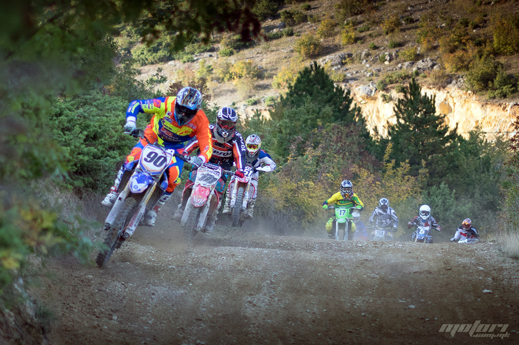 mx orman 2015
