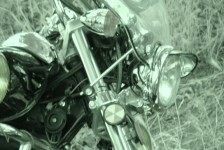 potfat_mc_779_20090715_1779144778