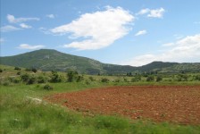 mariovo_195_20090715_1615615005
