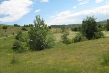 mariovo_196_20090715_1305290482