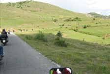 mariovo_200_20090715_1824111320
