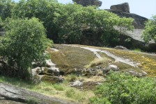 mariovo_323_20090715_2088001451