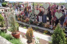 mariovo_408_20090715_1358055009