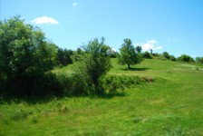 mariovo_734_20090715_2000591200