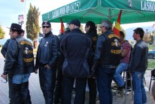 struga_708_20090715_1296976594