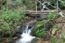 mk_osogovski_vozaci_393_20090810_1433927108