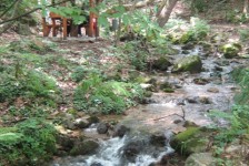 mk_osogovski_vozaci_396_20090810_1218123097