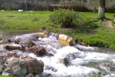 babino_21_20090807_1189339857