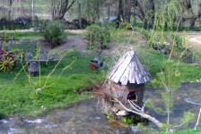 babino_23_20090807_1513890748