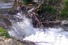babino_2_20090807_1765787775