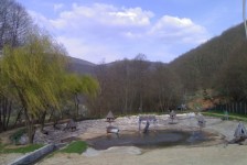 babino_7_20090807_1499048915