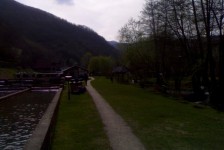 babino_9_20090807_1802127608