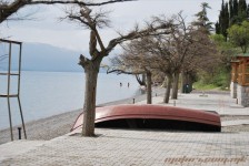 7-_____176_20100418_2091727996