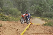bratindol_1_206_20100531_1390450368