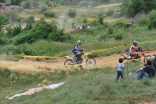 bratindol_1_324_20100531_1592173651