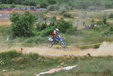 bratindol_1_325_20100531_1492853117