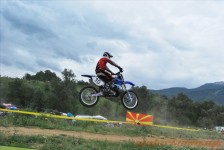 bratindol_1_343_20100531_1756066123