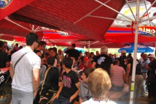 bratindol_1_430_20100531_1744304340
