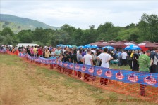 bratindol_1_434_20100531_1088259320