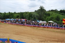 bratindol_1_442_20100531_1515554590