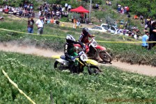 kros_orman_1_190_20100509_1495561613