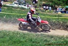 kros_orman_1_199_20100509_1195382316