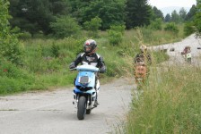 Kicevo1-2011-27