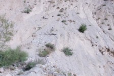moto-reli-gora-2011-75