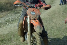orman-2011-1