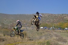orman-2011-119