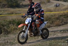 orman-2011-14