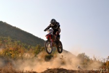 orman-2011-196