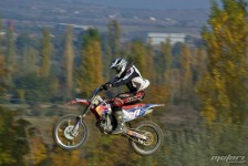 orman-2011-224