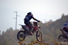 orman-2011-238