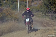orman-2011-75