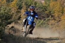 orman-2011-78