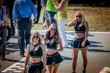 MotoGP: Brno 2019