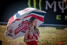 MotoGP: Brno 2019