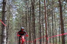 Забел 2022