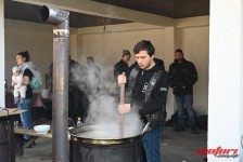 pelenica