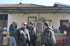 pelenica