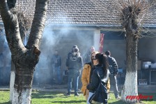 pelenica
