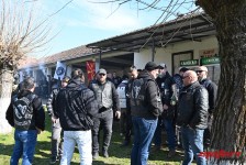 pelenica